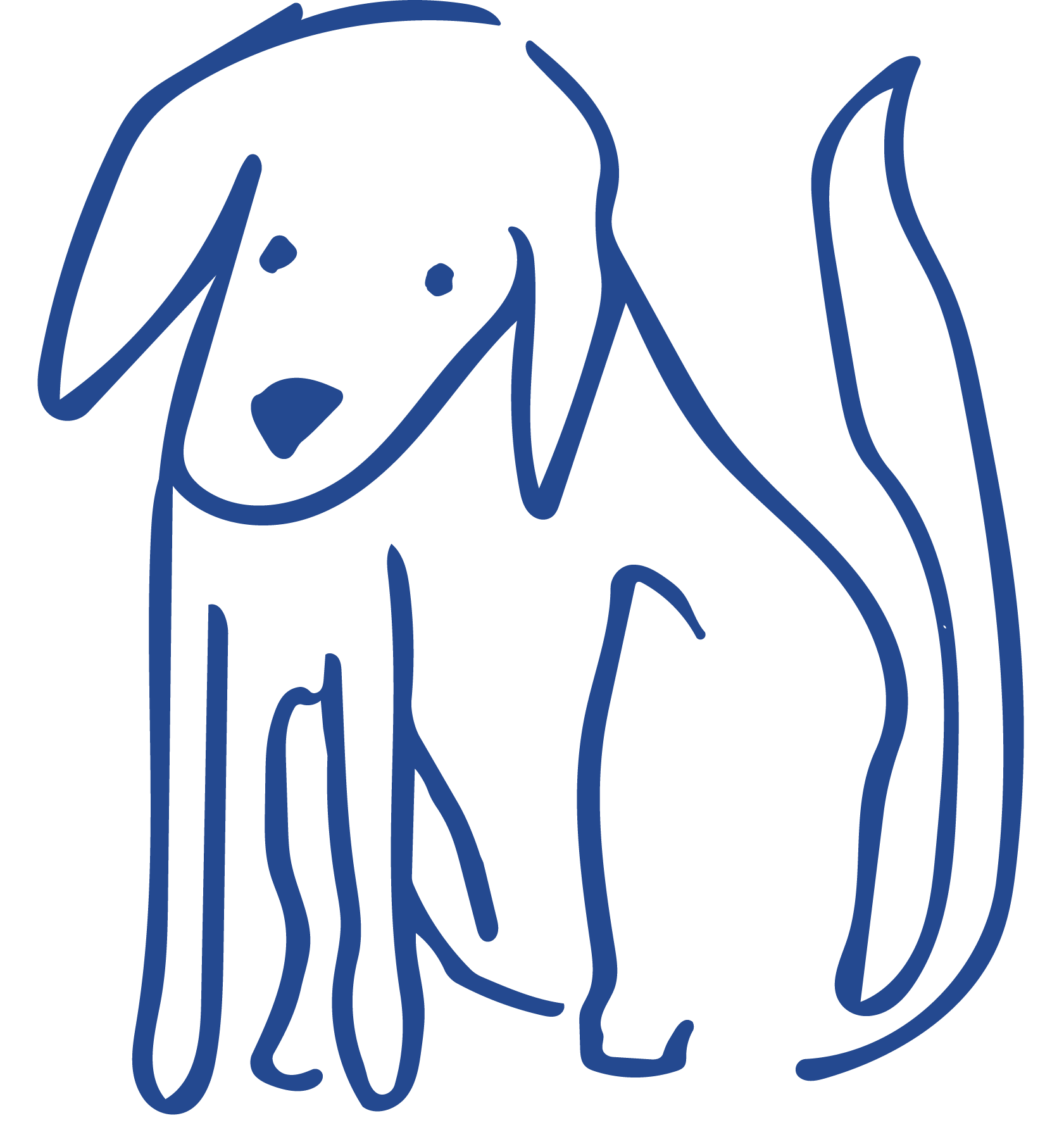 Custom Image